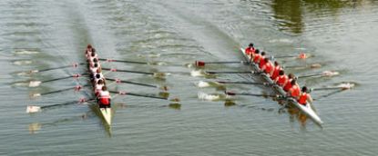 Picture of Henley Regatta 1st -8th July 2024